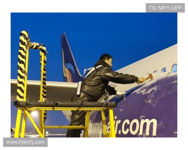 飞机机翼前缘的防冰系统结冰仿真