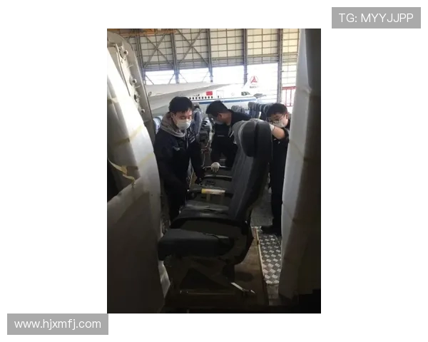 飞机客舱座椅的动态抗撞击性能